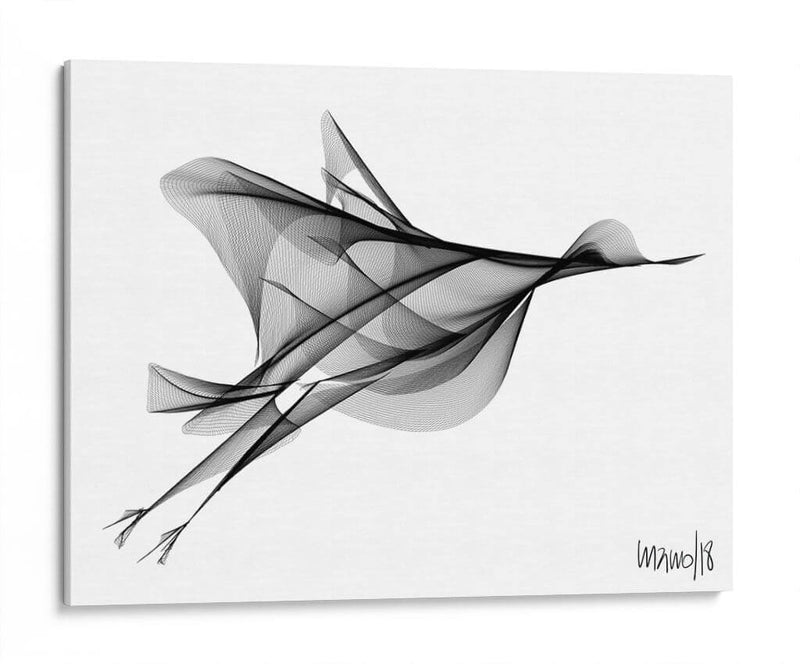 PÁJARO VOLANDO - Gina Villalobos | Cuadro decorativo de Canvas Lab