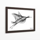 PÁJARO VOLANDO - Gina Villalobos | Cuadro decorativo de Canvas Lab
