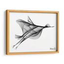 PÁJARO VOLANDO - Gina Villalobos | Cuadro decorativo de Canvas Lab