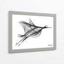 PÁJARO VOLANDO - Gina Villalobos | Cuadro decorativo de Canvas Lab
