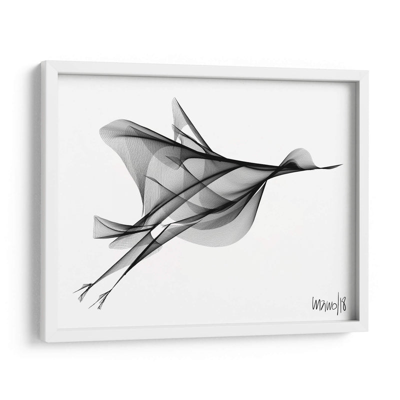 PÁJARO VOLANDO - Gina Villalobos | Cuadro decorativo de Canvas Lab