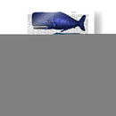 Familia De Ballenas Azules - Fab Funky | Cuadro decorativo de Canvas Lab