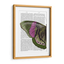 Mariposa En Verde Y Rosa A - Fab Funky | Cuadro decorativo de Canvas Lab
