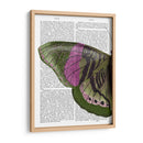 Mariposa En Verde Y Rosa A - Fab Funky | Cuadro decorativo de Canvas Lab
