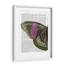 Mariposa En Verde Y Rosa A - Fab Funky | Cuadro decorativo de Canvas Lab
