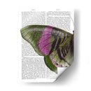 Mariposa En Verde Y Rosa A - Fab Funky | Cuadro decorativo de Canvas Lab
