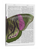 Mariposa En Verde Y Rosa B - Fab Funky | Cuadro decorativo de Canvas Lab