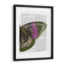 Mariposa En Verde Y Rosa B - Fab Funky | Cuadro decorativo de Canvas Lab