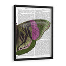 Mariposa En Verde Y Rosa B - Fab Funky | Cuadro decorativo de Canvas Lab