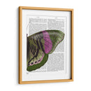 Mariposa En Verde Y Rosa B - Fab Funky | Cuadro decorativo de Canvas Lab