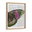 Mariposa En Verde Y Rosa B - Fab Funky | Cuadro decorativo de Canvas Lab
