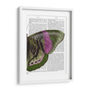 Mariposa En Verde Y Rosa B - Fab Funky | Cuadro decorativo de Canvas Lab