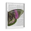 Mariposa En Verde Y Rosa B - Fab Funky | Cuadro decorativo de Canvas Lab