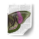 Mariposa En Verde Y Rosa B - Fab Funky | Cuadro decorativo de Canvas Lab