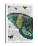 Mariposa En Turquesa Y Amarillo A - Fab Funky | Cuadro decorativo de Canvas Lab
