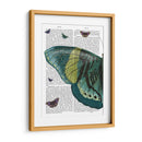 Mariposa En Turquesa Y Amarillo A - Fab Funky | Cuadro decorativo de Canvas Lab