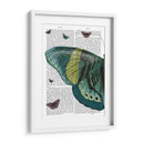 Mariposa En Turquesa Y Amarillo A - Fab Funky | Cuadro decorativo de Canvas Lab