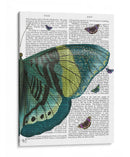 Mariposa En Turquesa Y Amarillo B - Fab Funky | Cuadro decorativo de Canvas Lab