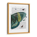 Mariposa En Turquesa Y Amarillo B - Fab Funky | Cuadro decorativo de Canvas Lab