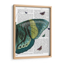 Mariposa En Turquesa Y Amarillo B - Fab Funky | Cuadro decorativo de Canvas Lab