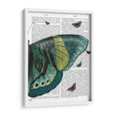 Mariposa En Turquesa Y Amarillo B - Fab Funky | Cuadro decorativo de Canvas Lab