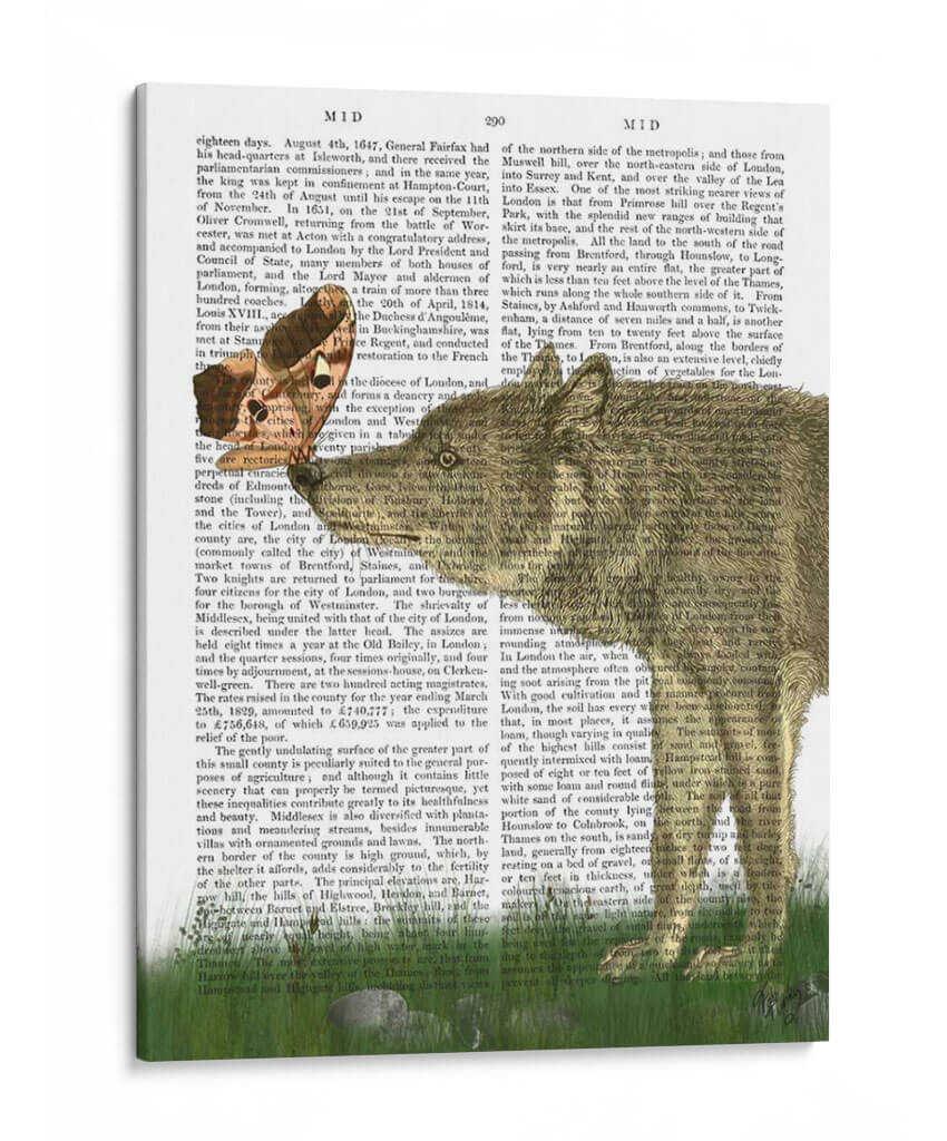 Lobo Y Polilla - Fab Funky | Cuadro decorativo de Canvas Lab