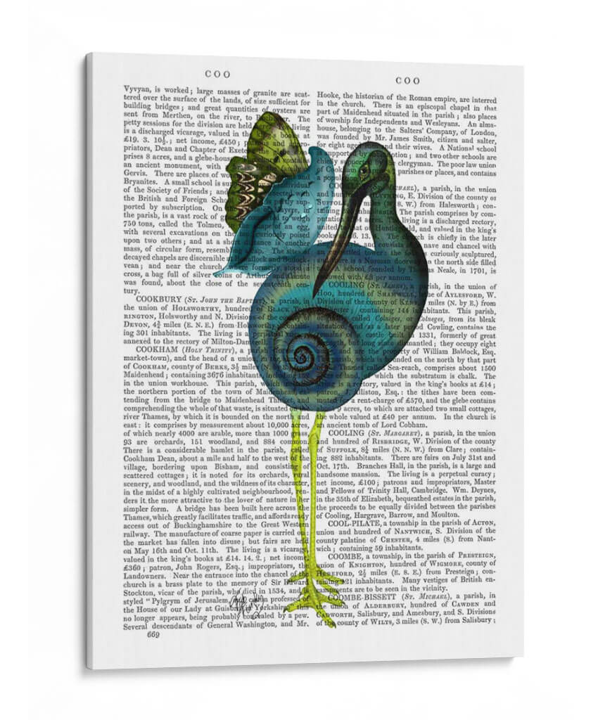 Pájaro Caracol - Fab Funky | Cuadro decorativo de Canvas Lab