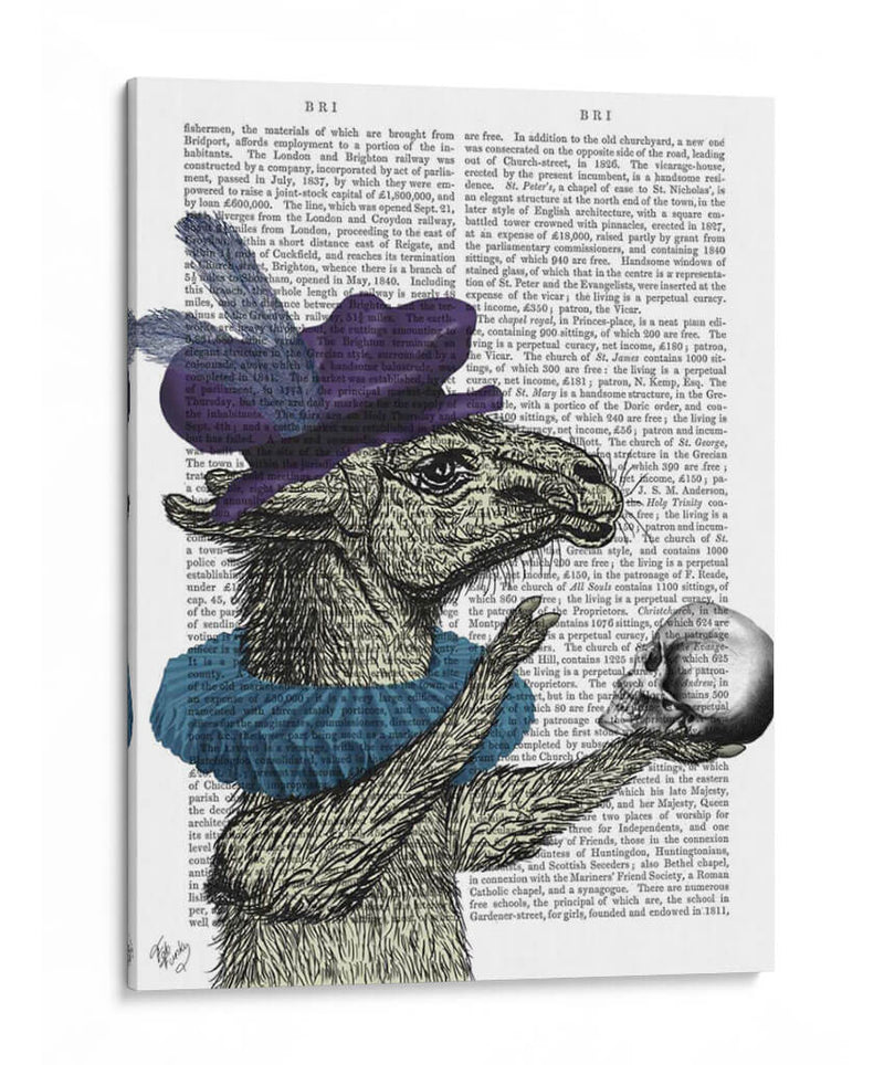Drama Llama - Fab Funky | Cuadro decorativo de Canvas Lab