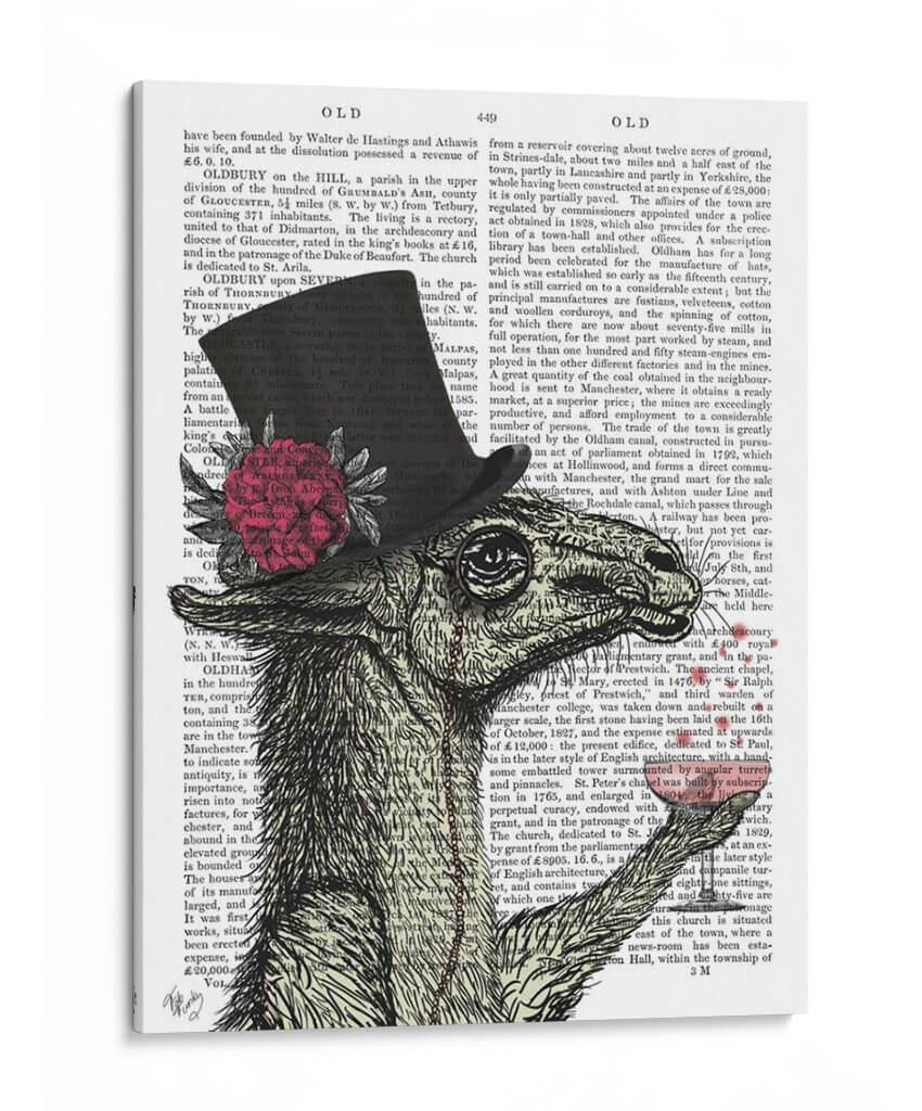 Llama Exush 1 - Fab Funky | Cuadro decorativo de Canvas Lab