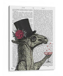 Llama Exush 1 - Fab Funky | Cuadro decorativo de Canvas Lab
