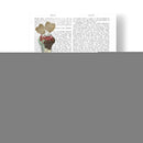 Helado Bernés - Fab Funky | Cuadro decorativo de Canvas Lab