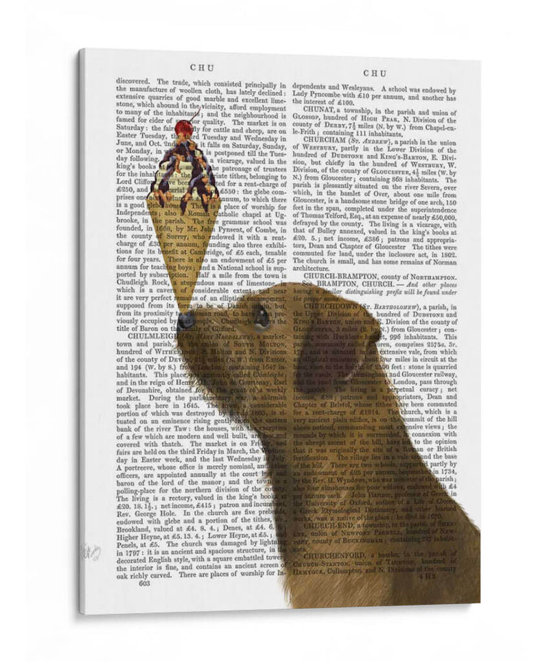 Helado De Terrier Fronterizo - Fab Funky | Cuadro decorativo de Canvas Lab