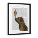 Helado De Terrier Fronterizo - Fab Funky | Cuadro decorativo de Canvas Lab