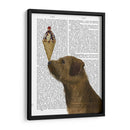 Helado De Terrier Fronterizo - Fab Funky | Cuadro decorativo de Canvas Lab