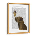 Helado De Terrier Fronterizo - Fab Funky | Cuadro decorativo de Canvas Lab