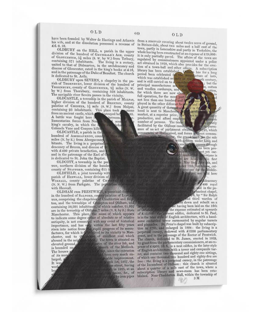 Helado Boston Terrier - Fab Funky | Cuadro decorativo de Canvas Lab