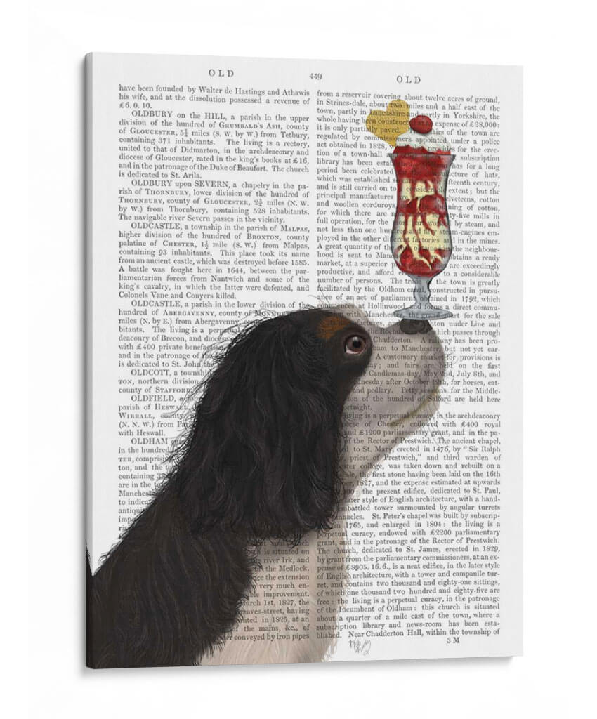 Cavalier King Charles, Blanco Negro, Helado - Fab Funky | Cuadro decorativo de Canvas Lab
