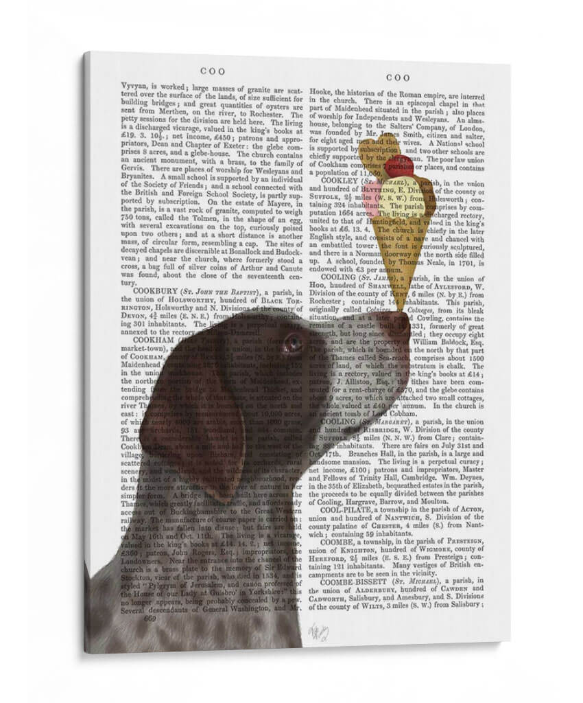 Helado De Puntero De Pelo Corto Alemán - Fab Funky | Cuadro decorativo de Canvas Lab