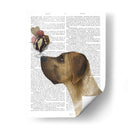 Gran Danés, Bronceado, Helado - Fab Funky | Cuadro decorativo de Canvas Lab