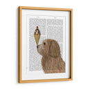 Labradoodle, Dorado, Helado - Fab Funky | Cuadro decorativo de Canvas Lab