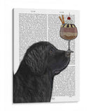 Helado De Terranova - Fab Funky | Cuadro decorativo de Canvas Lab