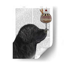 Helado De Terranova - Fab Funky | Cuadro decorativo de Canvas Lab