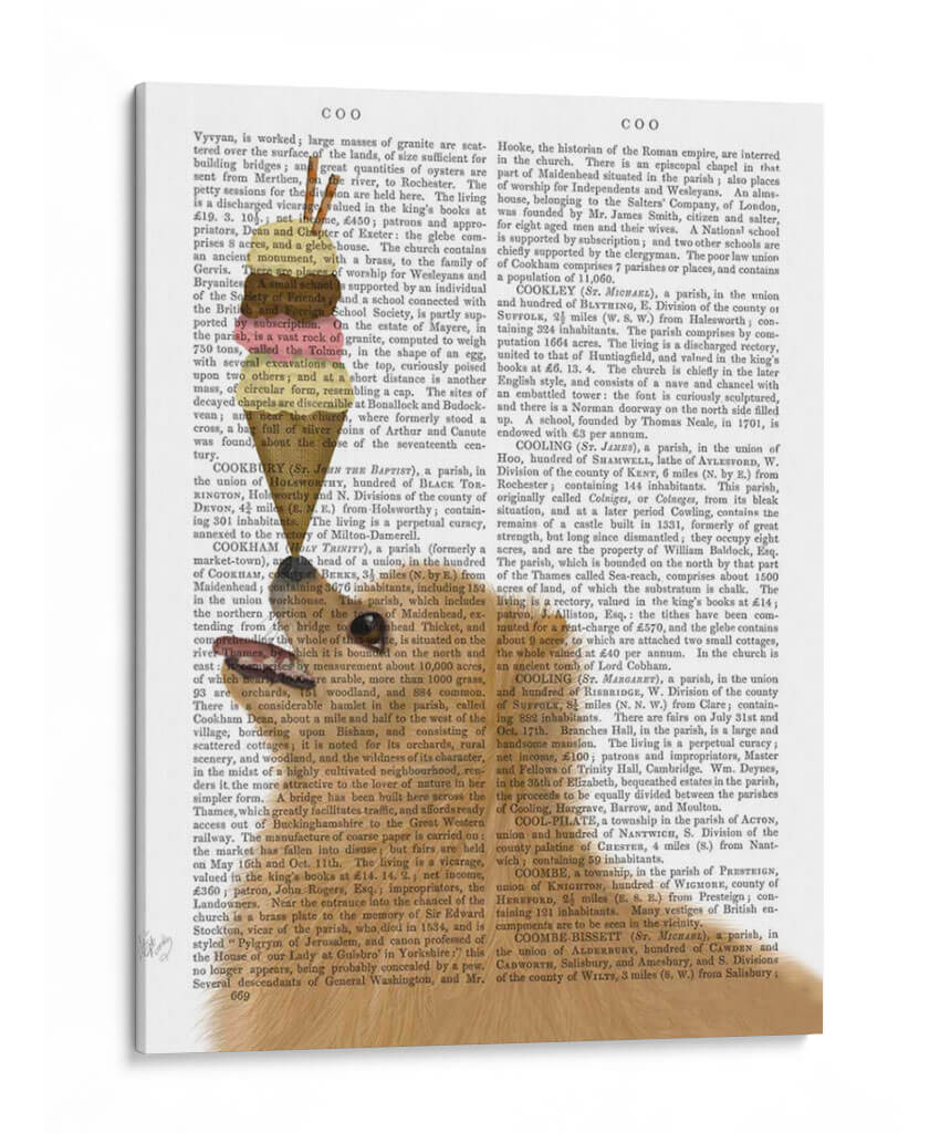 Helado Pomeraniano - Fab Funky | Cuadro decorativo de Canvas Lab