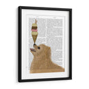 Helado Pomeraniano - Fab Funky | Cuadro decorativo de Canvas Lab