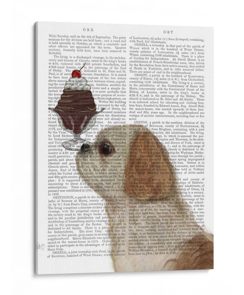 Helado Shih Tzu - Fab Funky | Cuadro decorativo de Canvas Lab