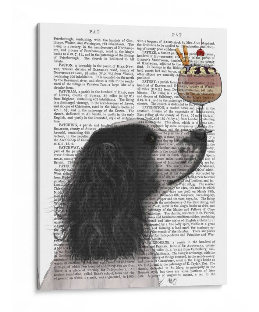 Springer Spaniel, Blanco Y Negro, Helado. - Fab Funky | Cuadro decorativo de Canvas Lab