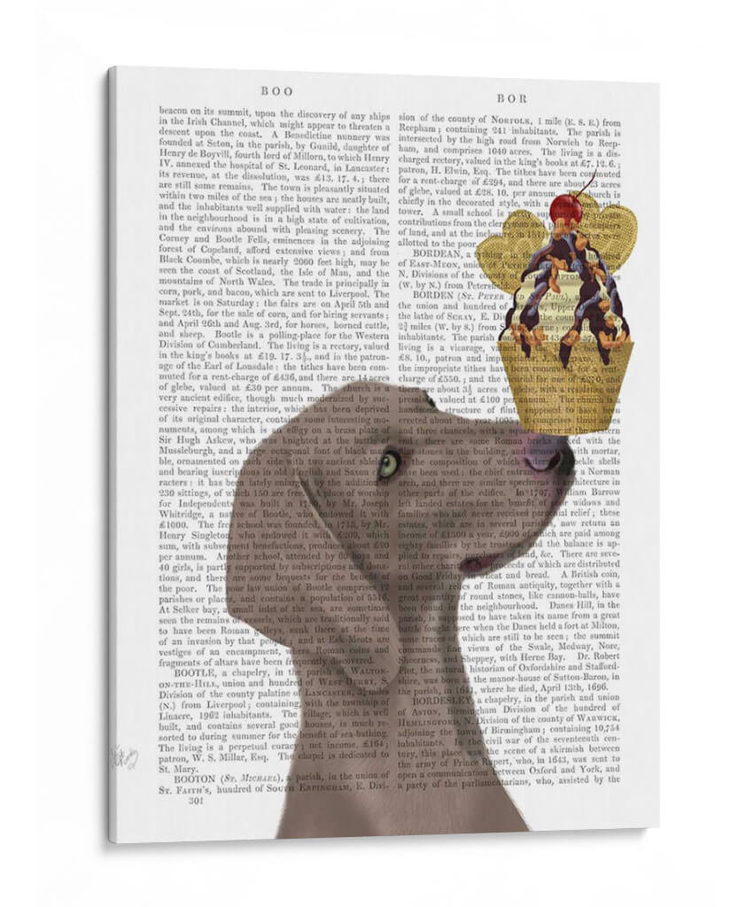 Helado Weimaraner - Fab Funky | Cuadro decorativo de Canvas Lab