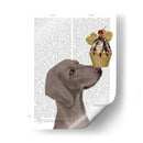 Helado Weimaraner - Fab Funky | Cuadro decorativo de Canvas Lab