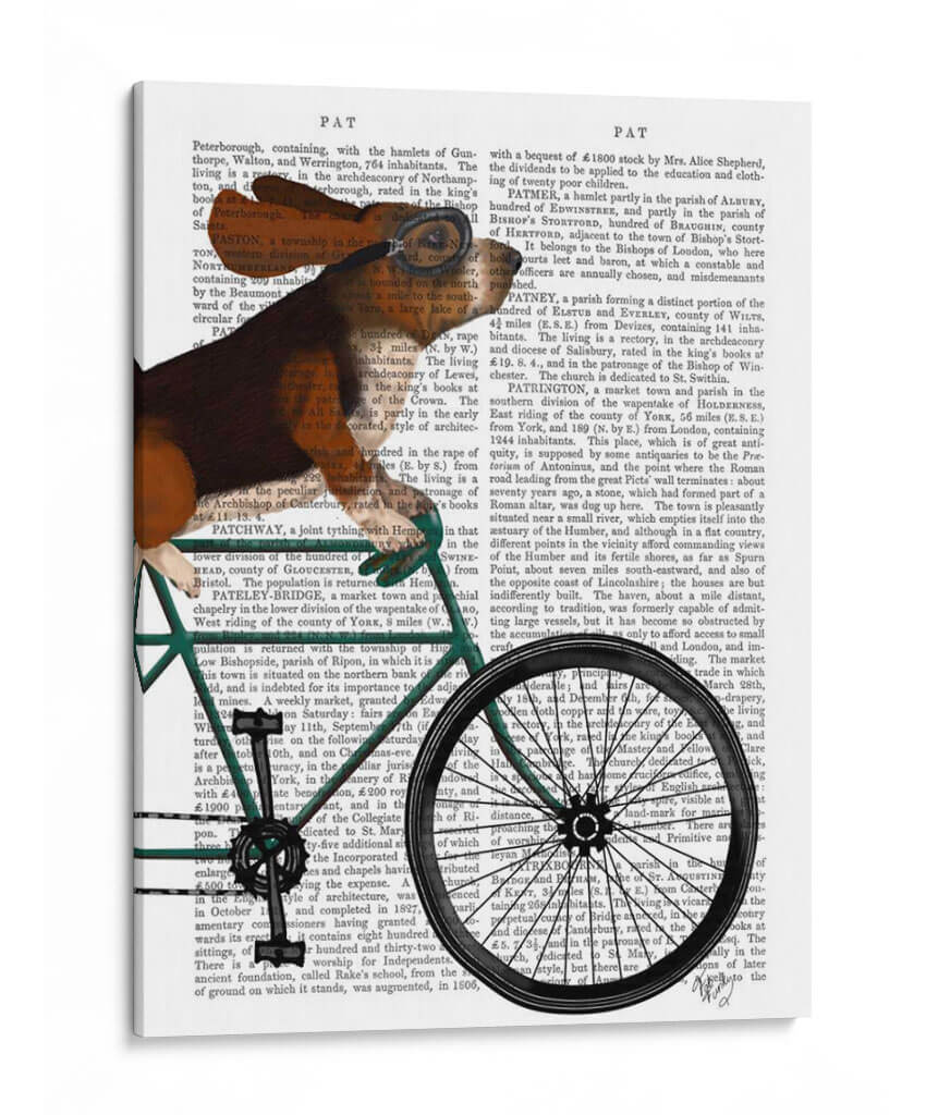 Basset Hound En Bicicleta - Fab Funky | Cuadro decorativo de Canvas Lab