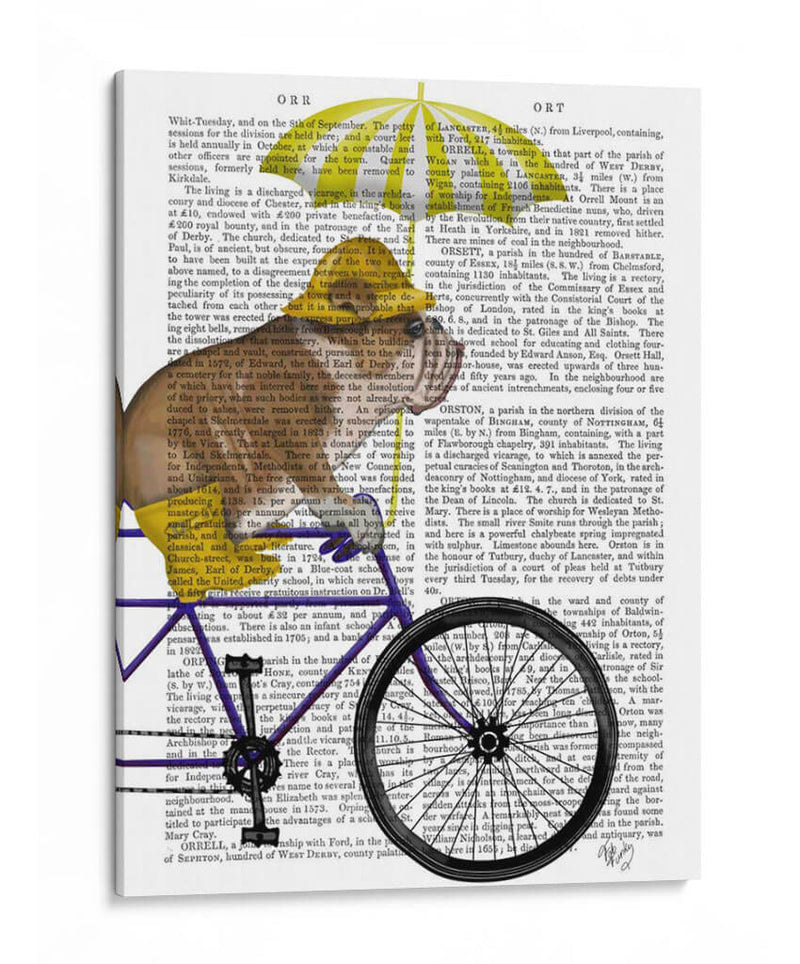 Bulldog Inglés En Bicicleta - Fab Funky | Cuadro decorativo de Canvas Lab